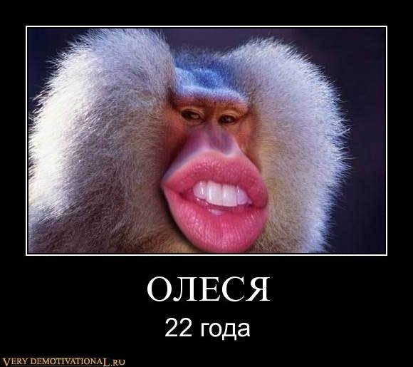 №125, Дмитрий Поснов, Оленегорск №125, Дмитрий Поснов, Оленегорск