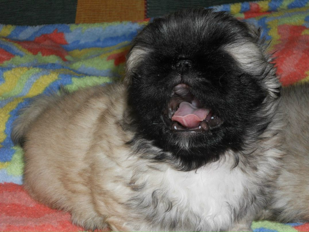 Юрий Иванов | Москва