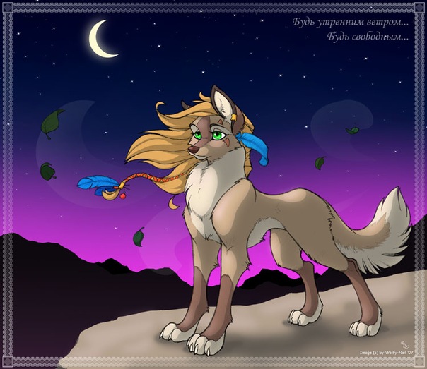 №11, Анюта Ларикова №11, Анюта Ларикова