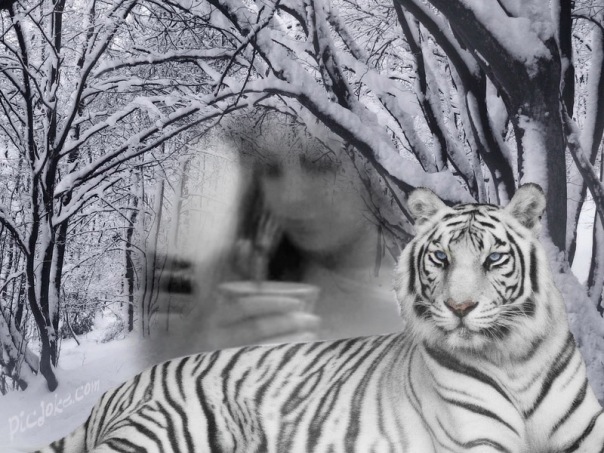 №91, Марина Циколенко, Киев №91, Марина Циколенко, Киев