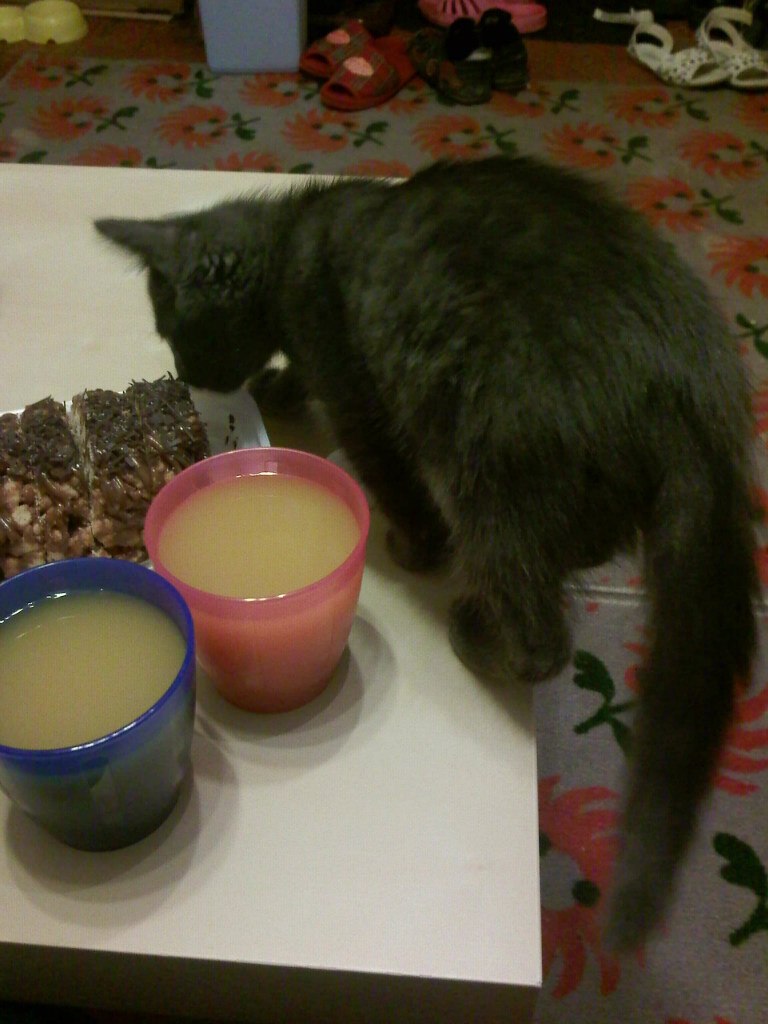 Антон Сидоров | Екатеринбург