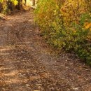 №18, Олег Водинов, Череповец №18, Олег Водинов, Череповец