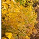 №95, Олег Водинов, Череповец №95, Олег Водинов, Череповец