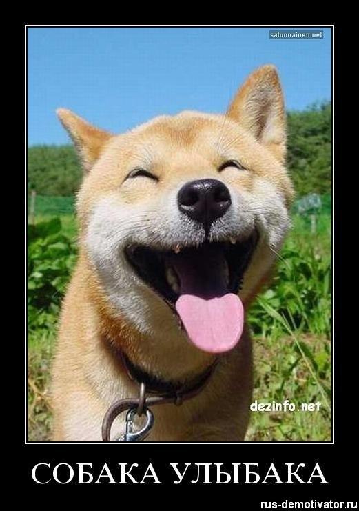 Никита Буренков | Москва