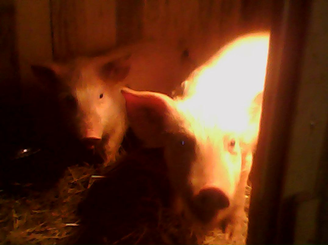 Мария Денисова Игоревна | Пермь