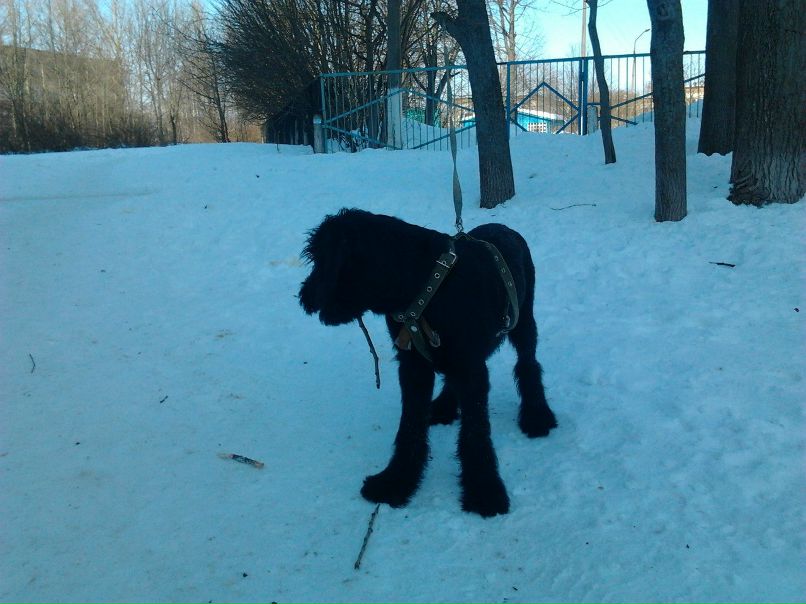 Алексей Сучков | Череповец