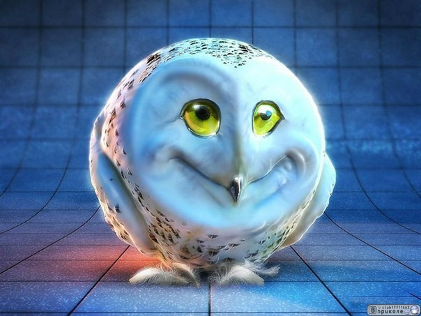 Анна Васильева | Санкт-Петербург