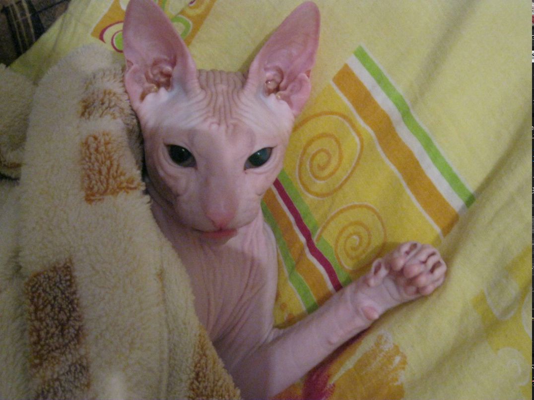 Роман Жмаев Вселенский странник | Санкт-Петербург