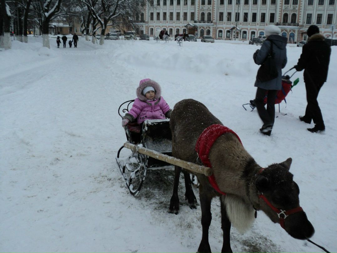 Сергей Максимов | Вологда