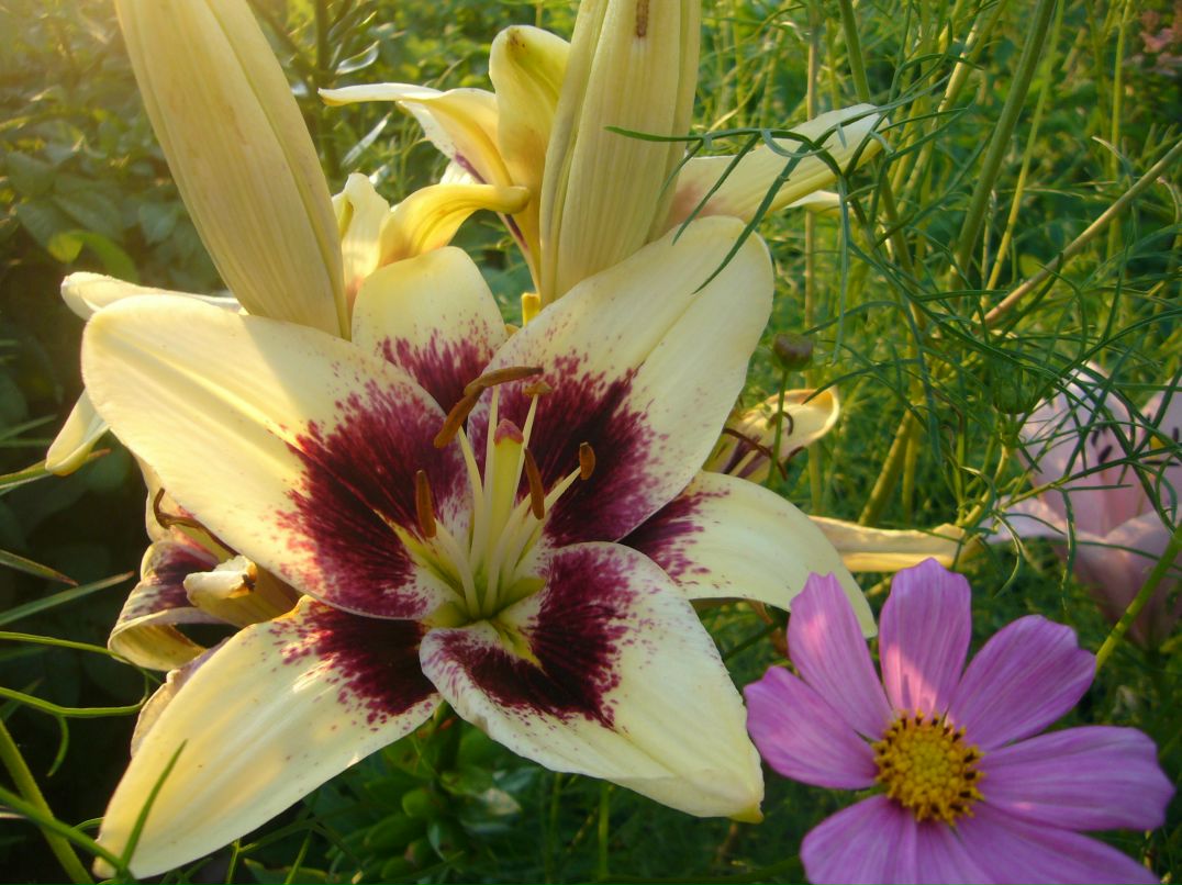 Ирина Подчернина | Мурманск