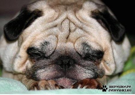 №196, Галина Сторто, 38 лет, Минск №196, Галина Сторто, 38 лет, Минск