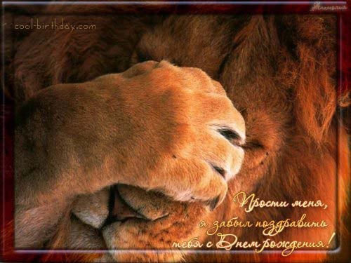 Игорь Проварнов | Рогачев