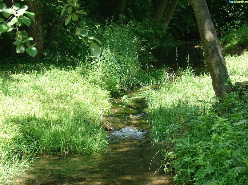Сергей Фельдшер | Санкт-Петербург