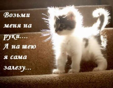 Анастасия Золотухина | Москва