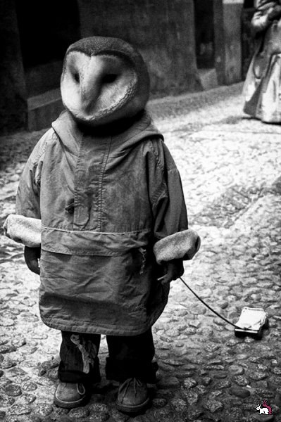 Лесик Dsfdsfdf | Киев