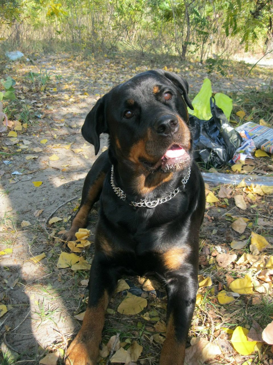 Станислав Чернышов | Днепр (Днепропетровск)