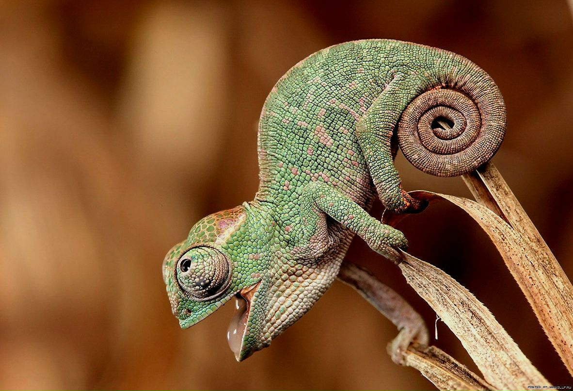 Катя Пудзырей =) | Королёв