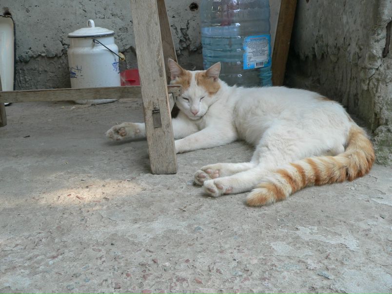 №5, Анастасия Давыдова-Волчкова, 43 года, Симферополь №5, Анастасия Давыдова-Волчкова, 43 года, Симферополь