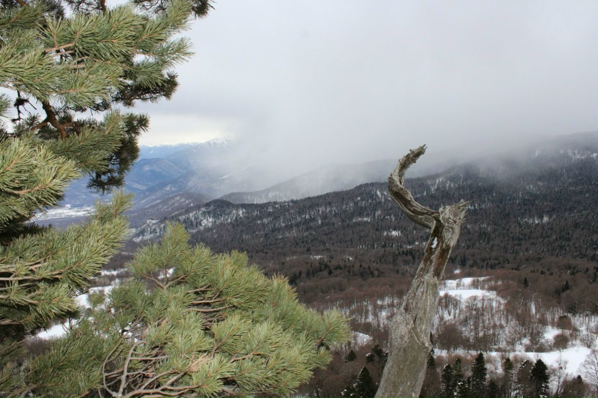 Евгений Мутовкин | Москва