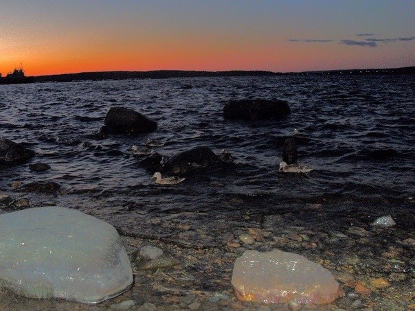 Елена Ельчинин | Петрозаводск