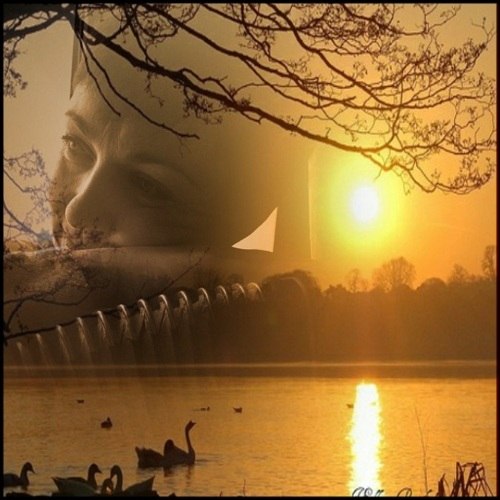 Татьяна Зайцева | Ljubljana