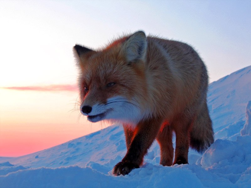 Надежда Маслова Витальевна✔ | Санкт-Петербург