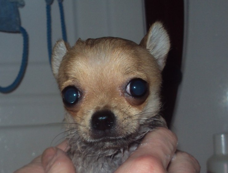 Константин Курочкин | Санкт-Петербург