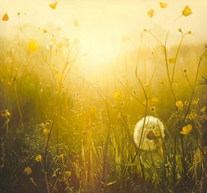 Максим Копцов | Днепр (Днепропетровск)