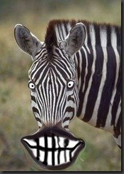 Елена Буянина | Ростов-на-Дону