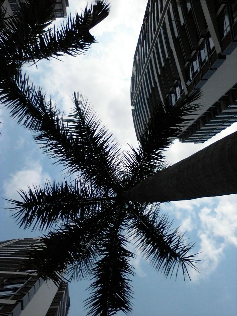 Мария Савон мари | Владивосток