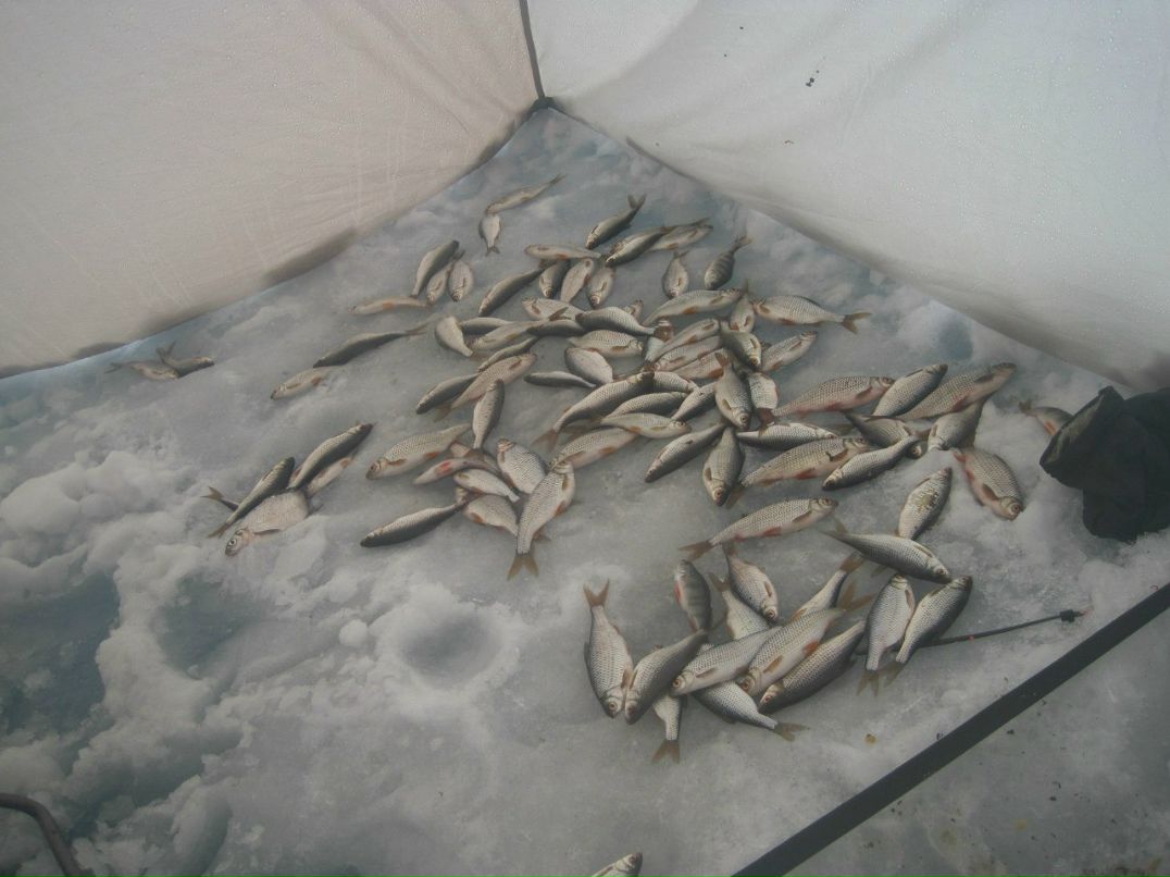 Андрей Пукович tipo4ek238 | Харьков