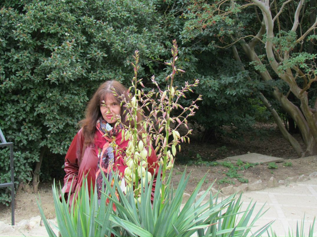 Алла Повереннова | Одесса