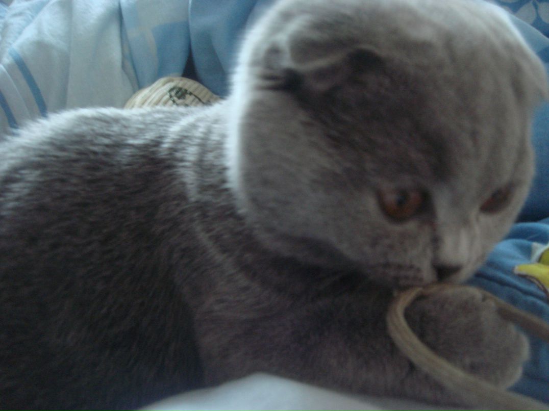 Александр Лужков | Красноярск