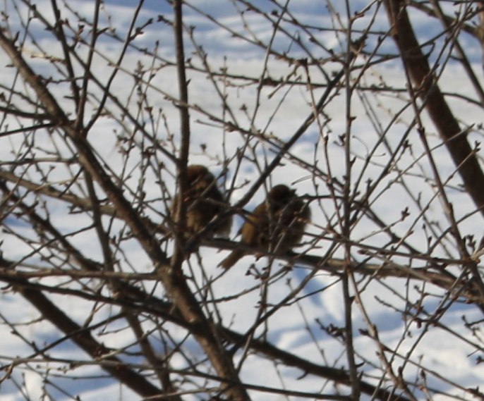 Іван Копитко | 