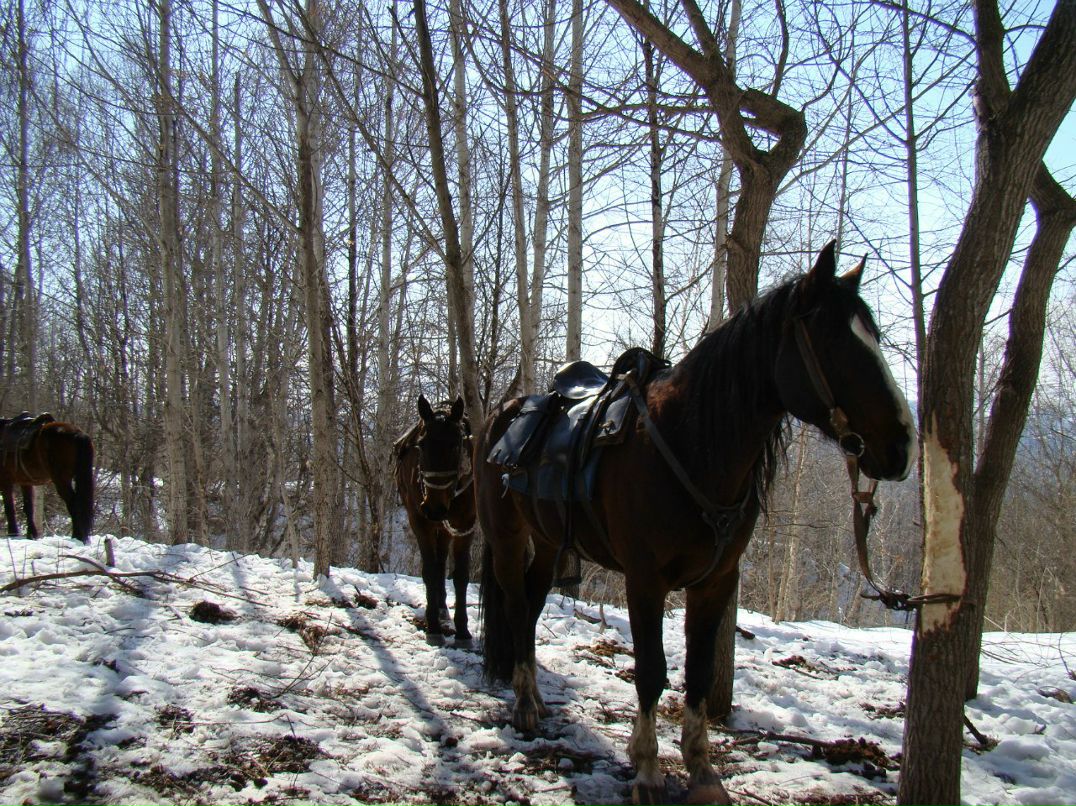 Игорь Годовиков | Уфа