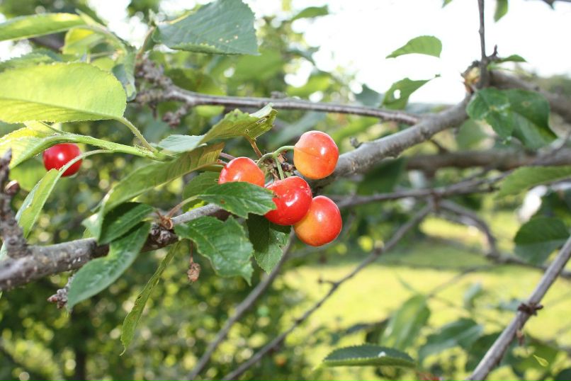 Екатерина Усанова Георгиевна | Москва