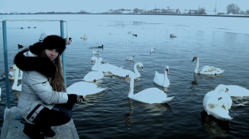 Інна Тучак | Бурштын