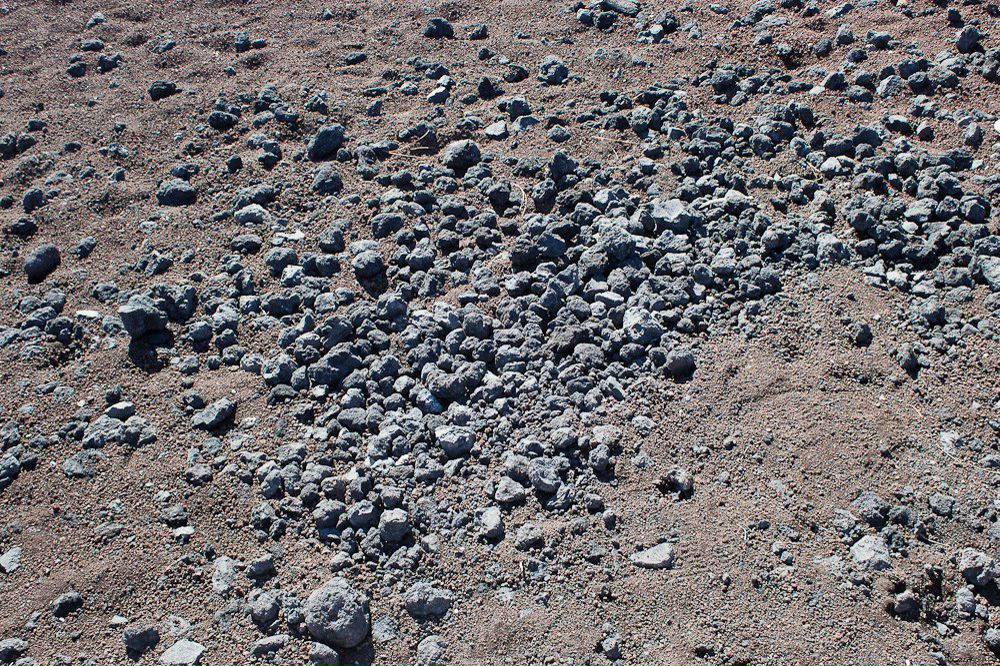 Илья Альбрехт | Phoenix