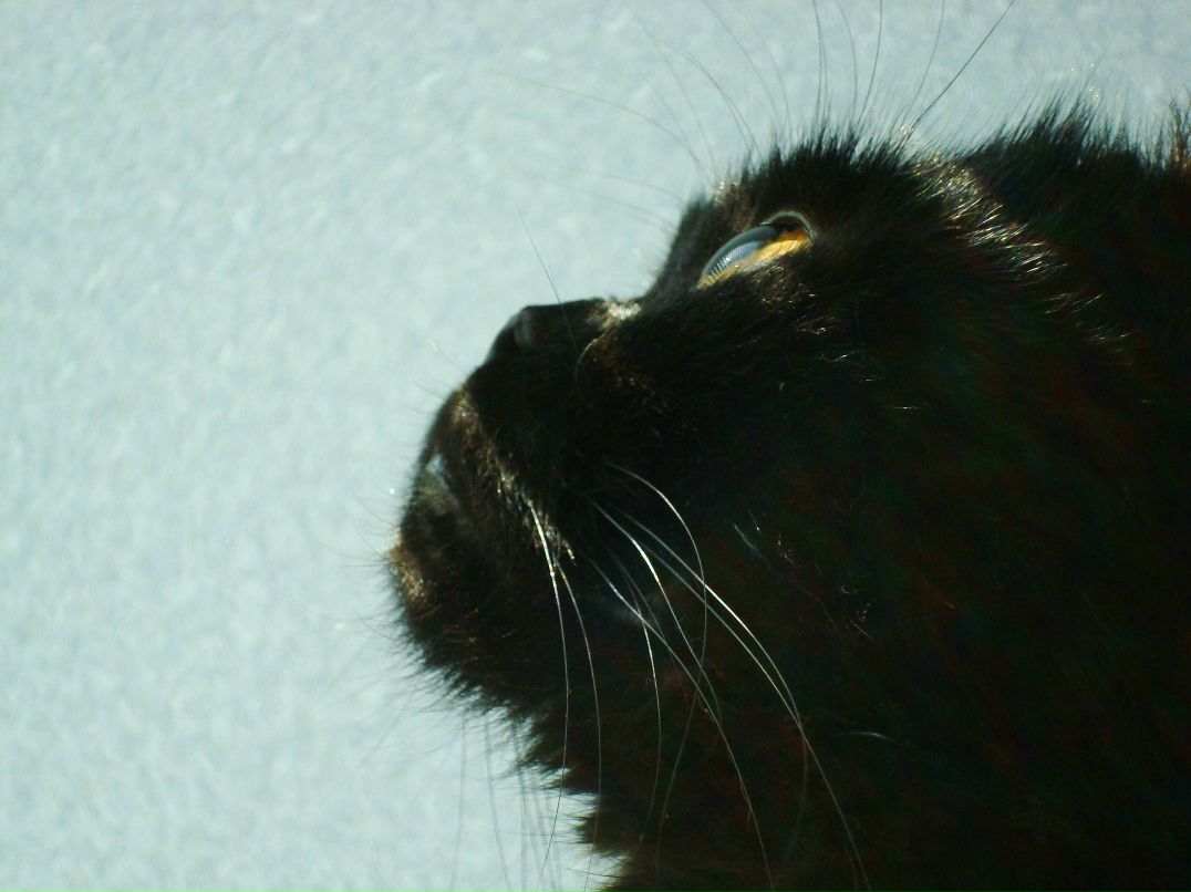 Ксения Бастрыкина !BASTA! | Новосибирск