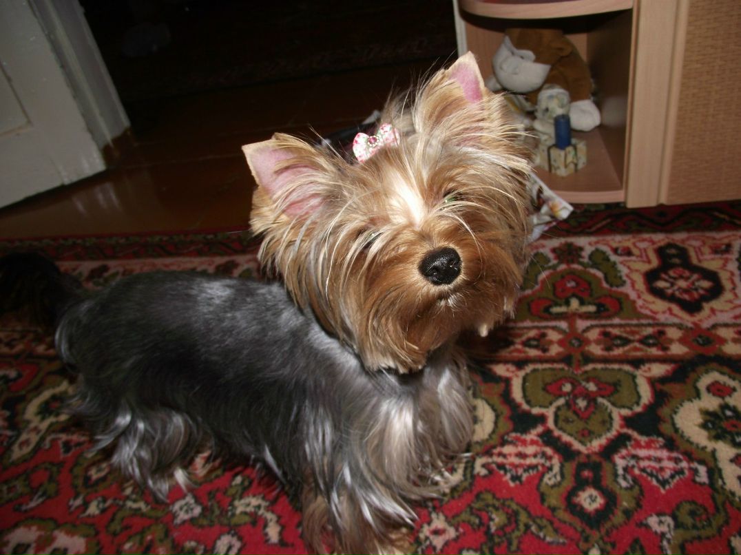 Маргарита Карташова | Воронеж