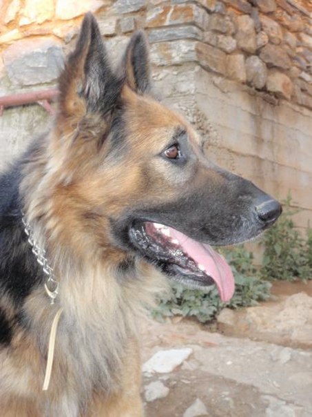 №11, Zak Spachis, Thessaloniki №11, Zak Spachis, Thessaloniki