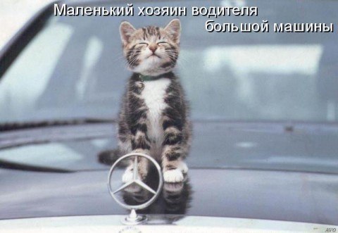 Роман Шаламов | 