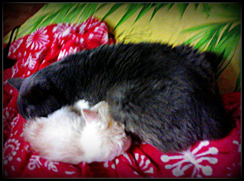 Светлана Хабибова | Тюмень