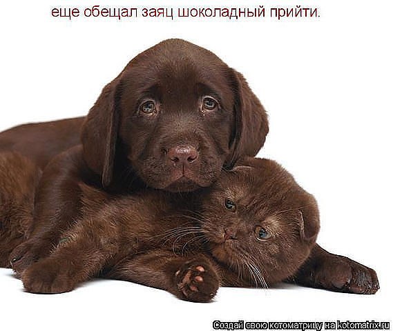 Надежда Бочкова | Москва