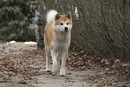 Фотография Краева Влада