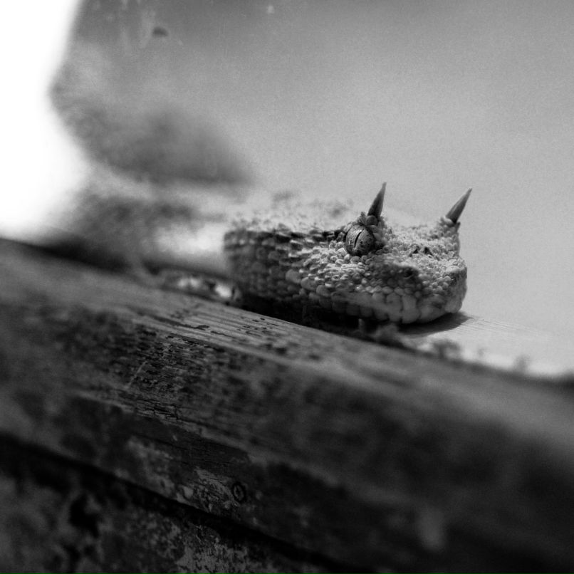 Юлия Рыбалова | Реутов