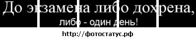 №104, Оксана Тулупова №104, Оксана Тулупова