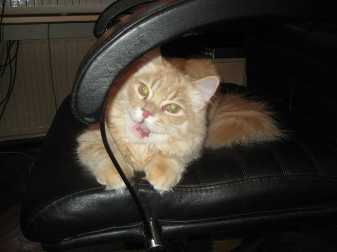 Катя Князева | Санкт-Петербург