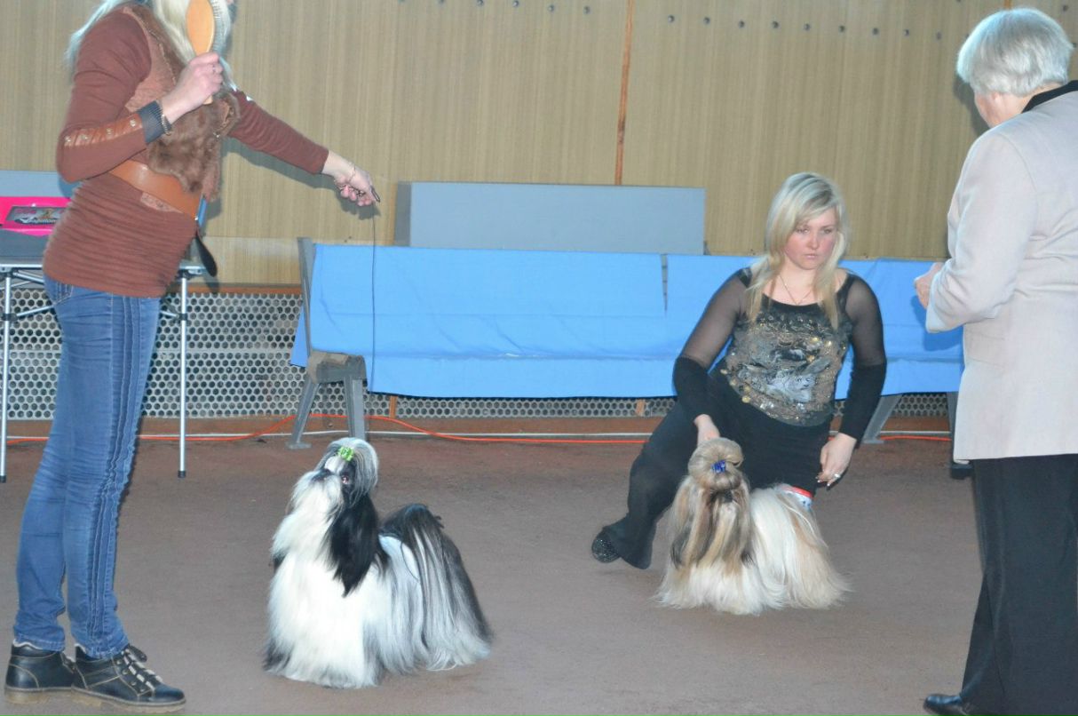 Оля Фартушна | Кривой Рог