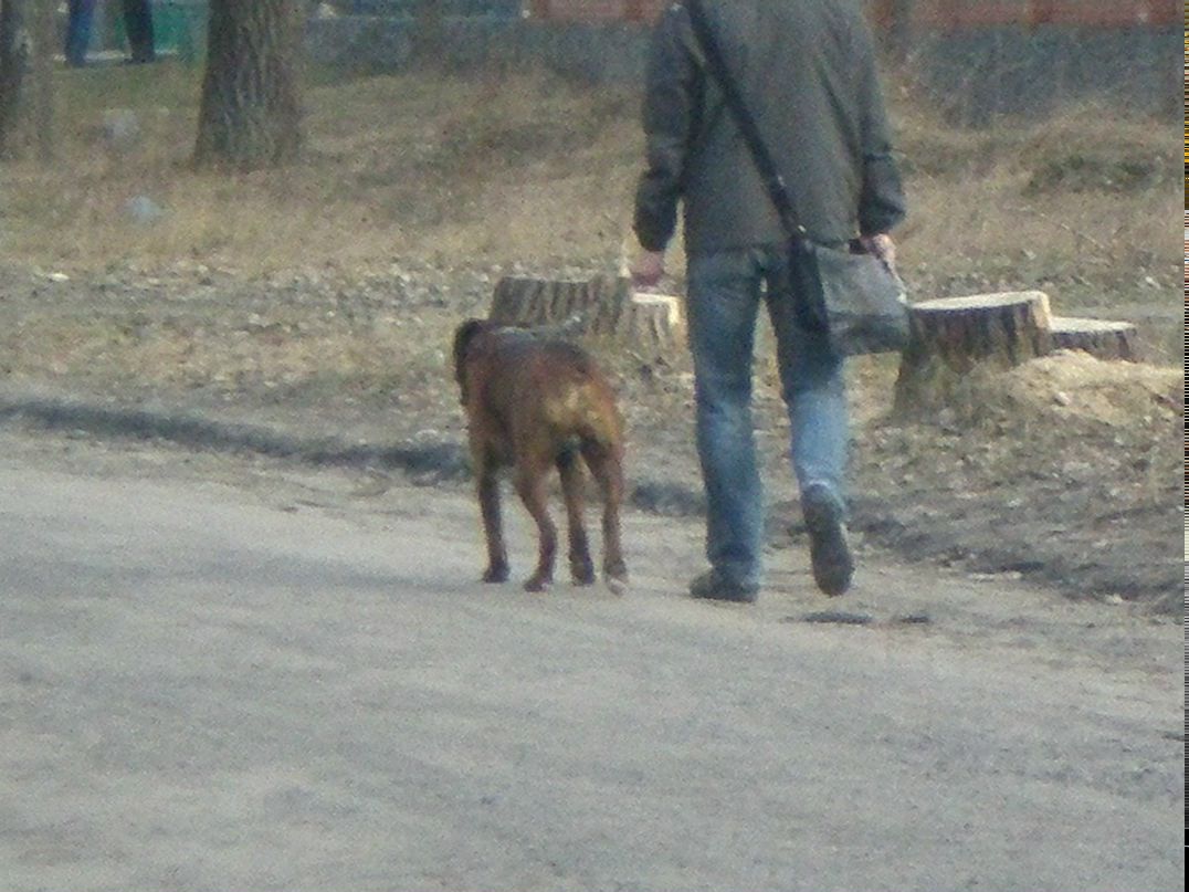 Сергей Дубина Олегович | Полтава